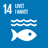 FN's 14. verdensmål: livet i havet